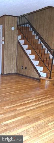 7316 Pittville Ave Property Photo 13