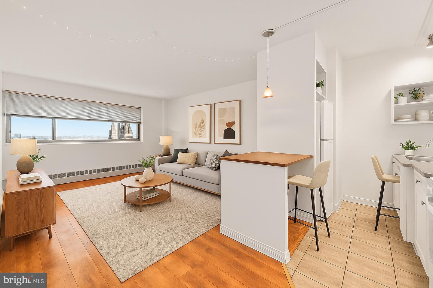 2101-17 CHESTNUT ST #1613 Property Photo 1