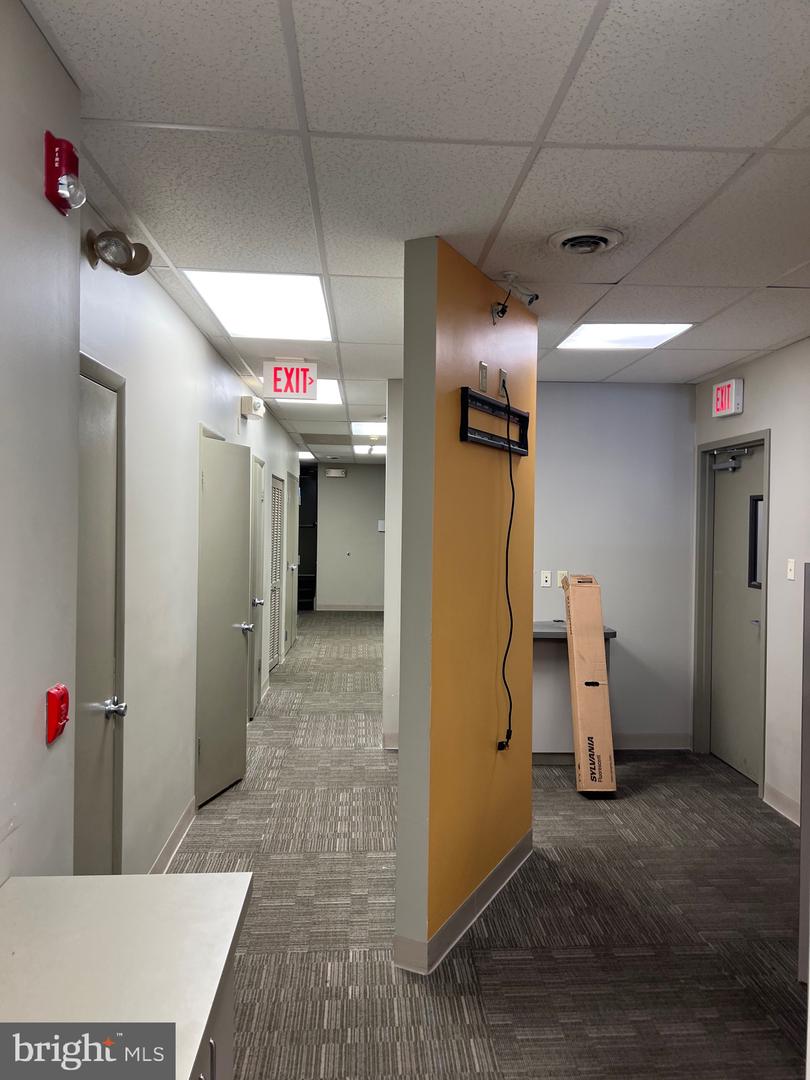 1423 Spruce St #first Floor Property Photo 5