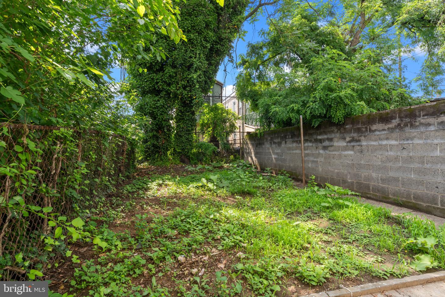 1814 N 22nd St Property Photo 38
