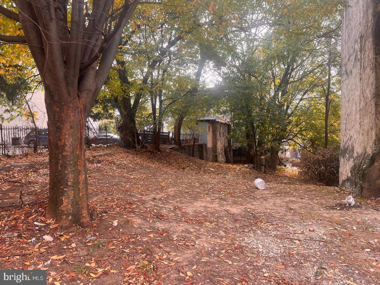 4916 Germantown Ave Property Photo 10