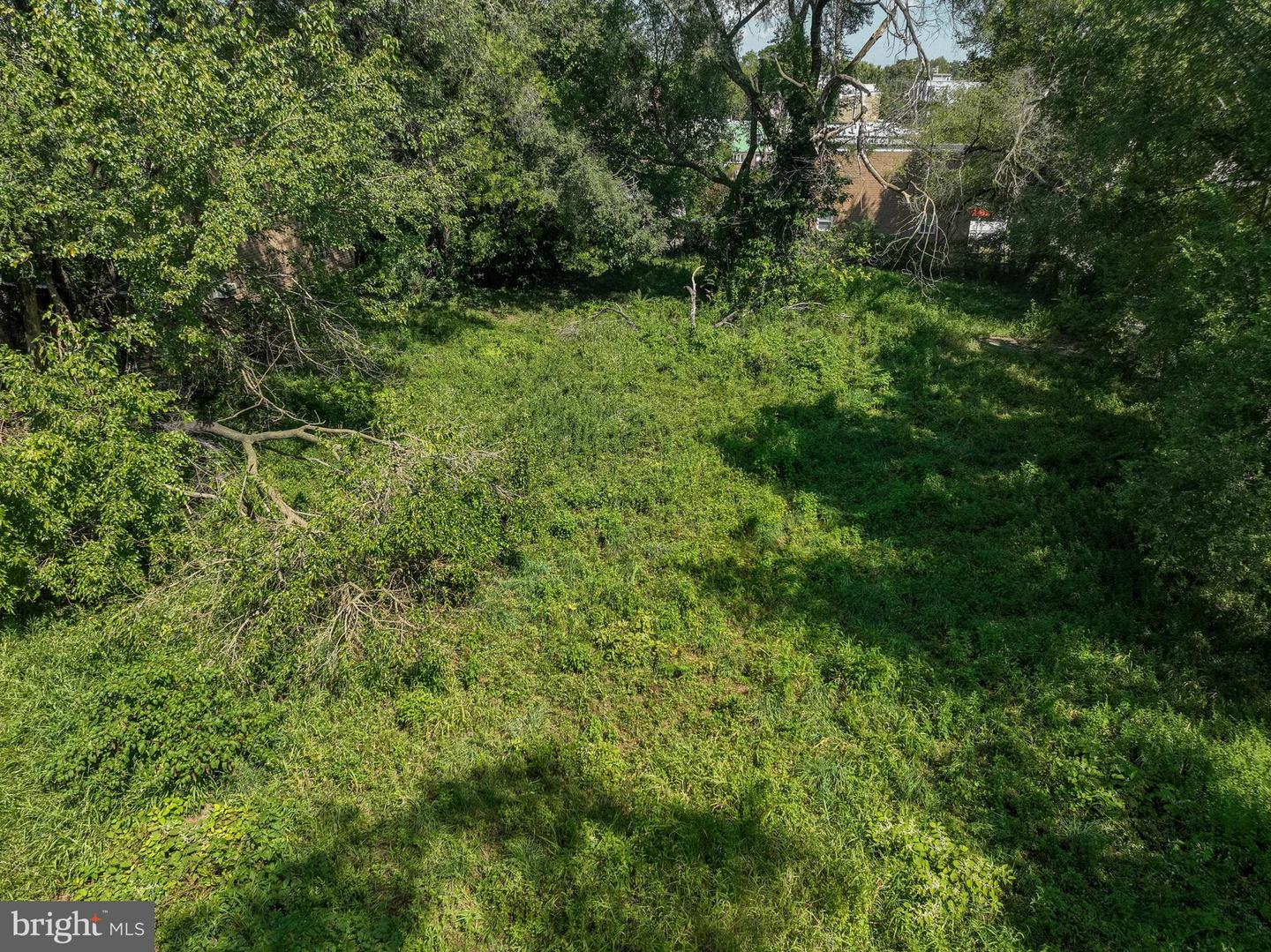 1201 Diamond St Property Photo 3