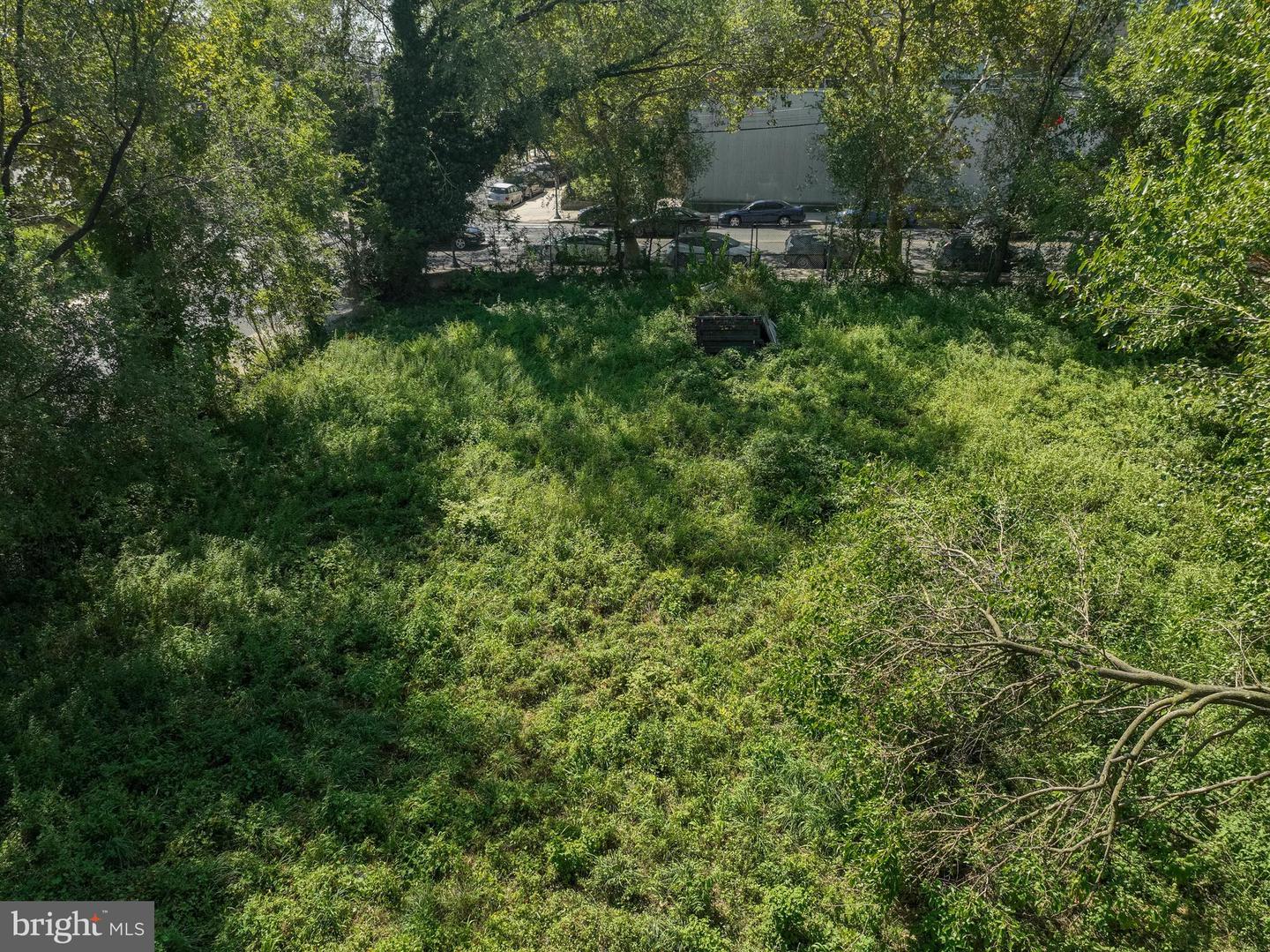 1201 Diamond St Property Photo 5