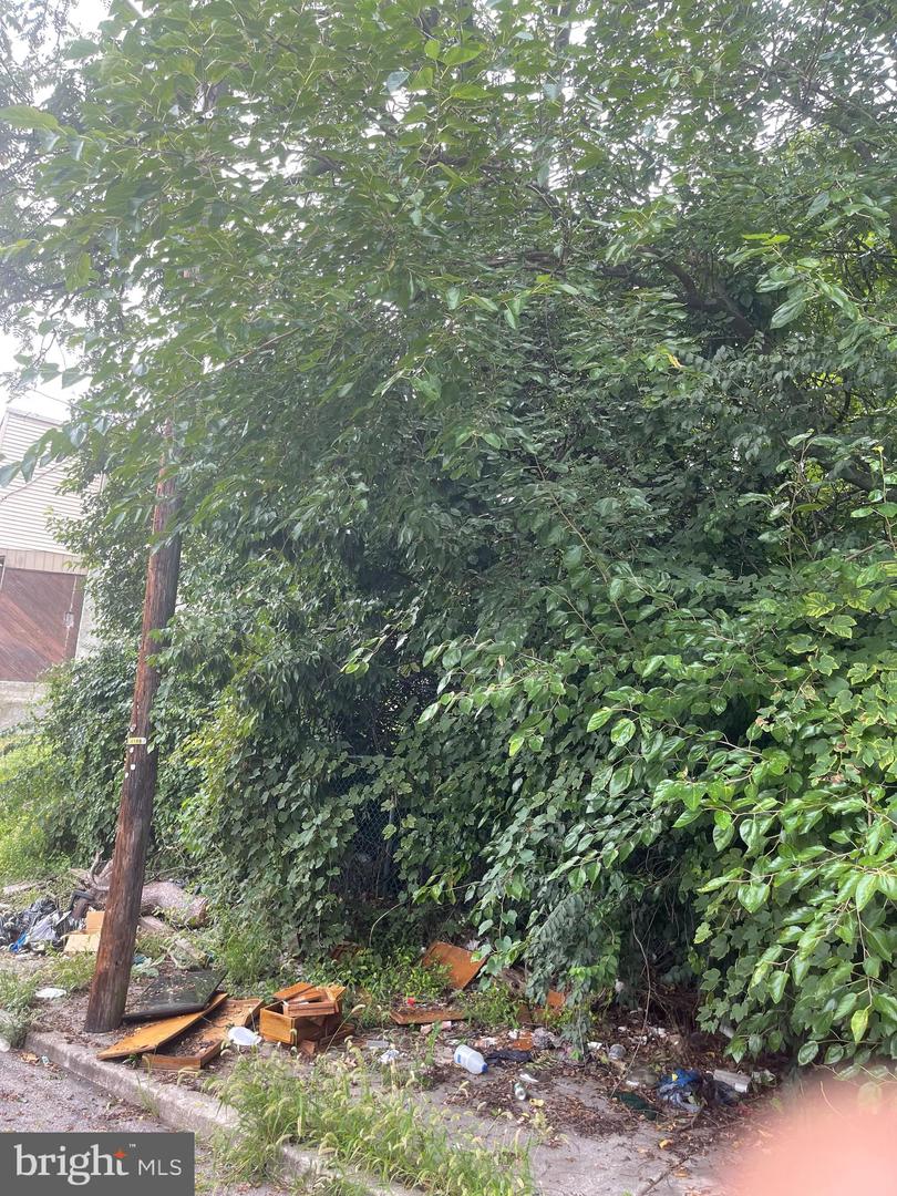 459 E Price St Property Photo 2