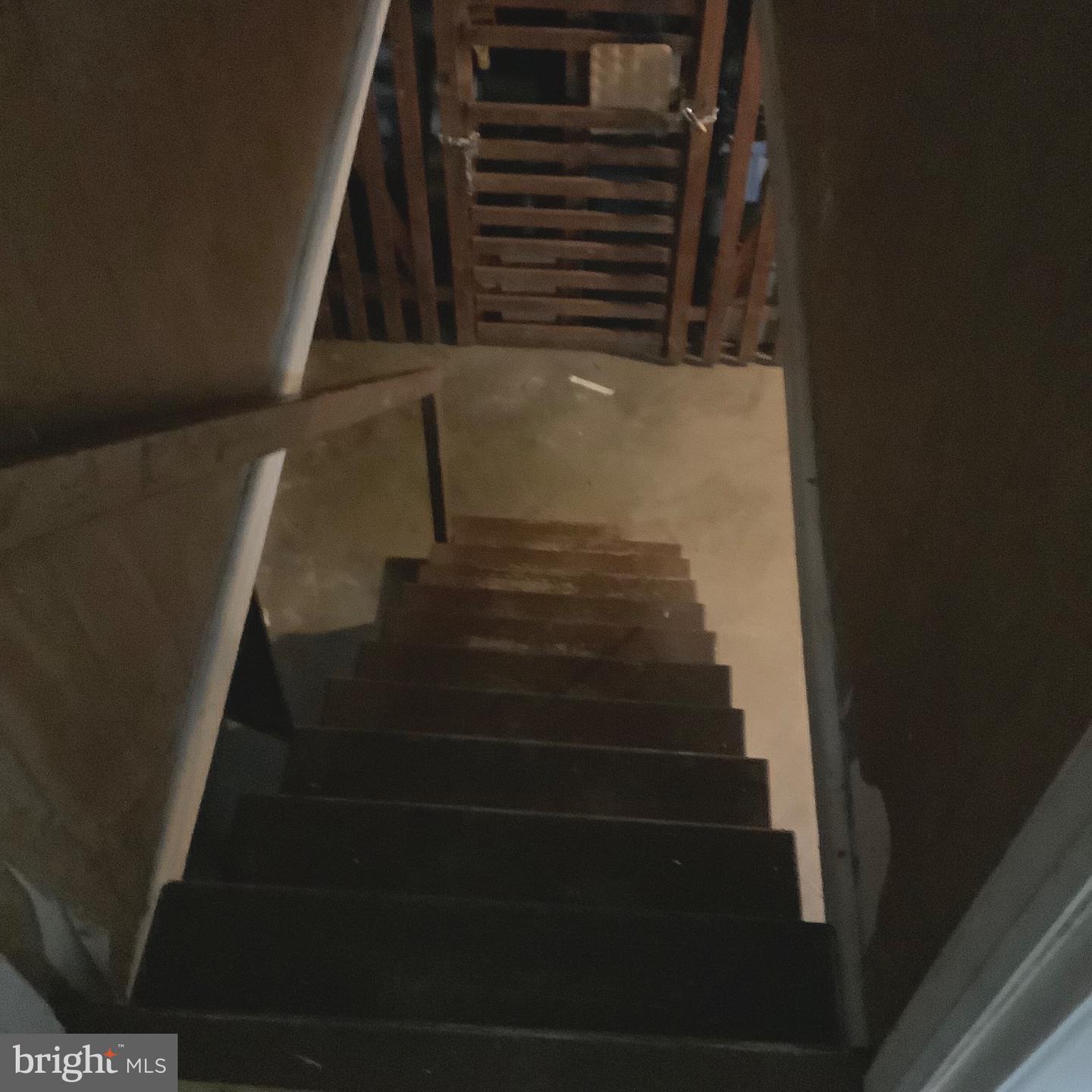7251 Haverford Ave Property Photo 17