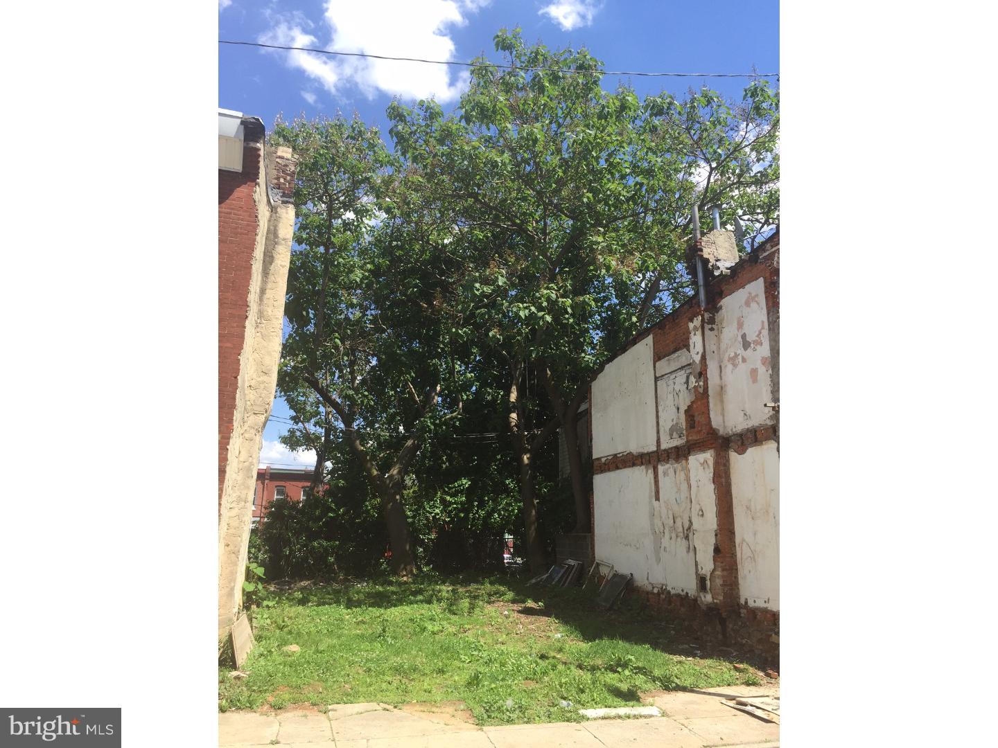 1815 N Ringgold St Property Photo 3
