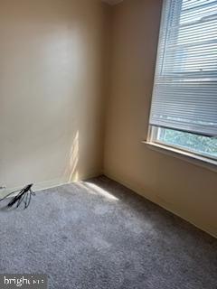 1012 S Colorado St Property Photo 61