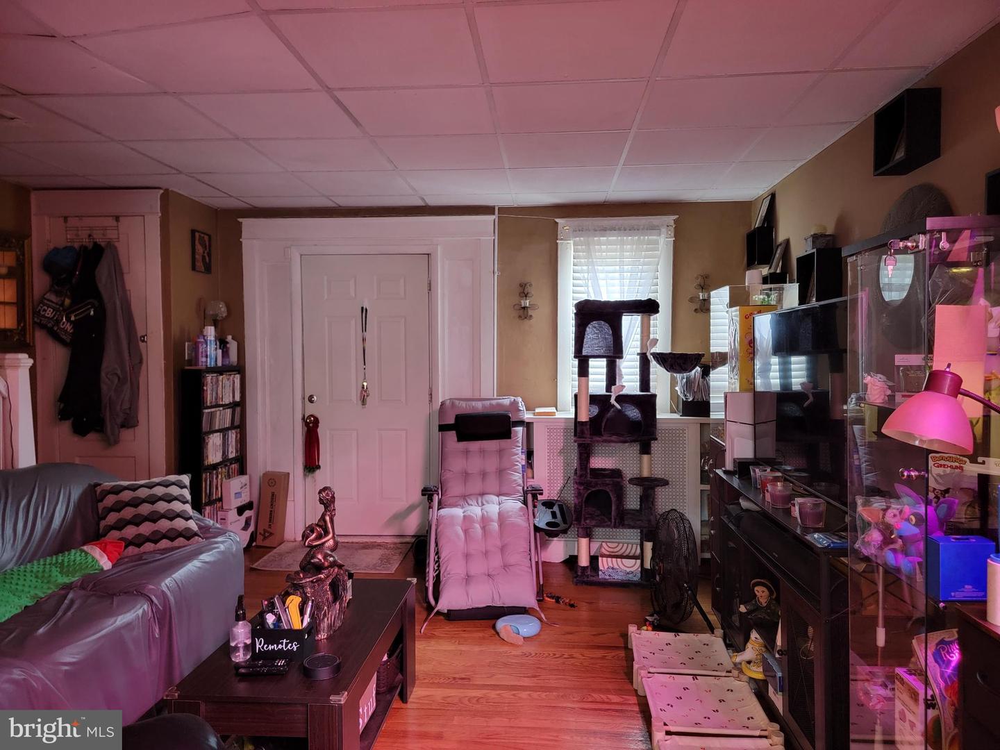 126 Rosemar St Property Photo 2
