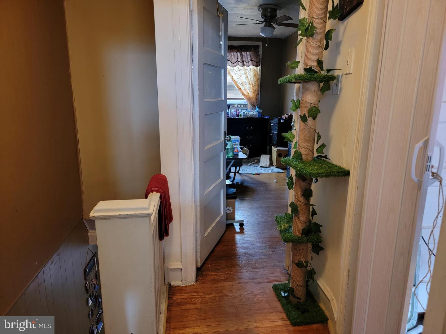 126 Rosemar St Property Photo 8