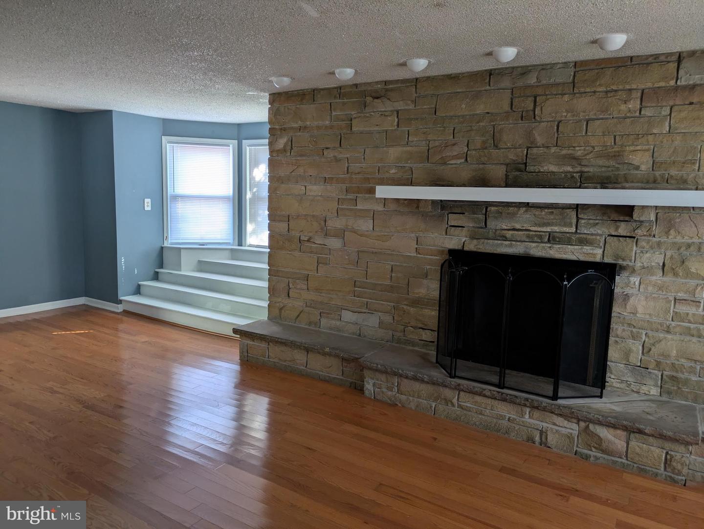 4517 Comly St Property Photo 5