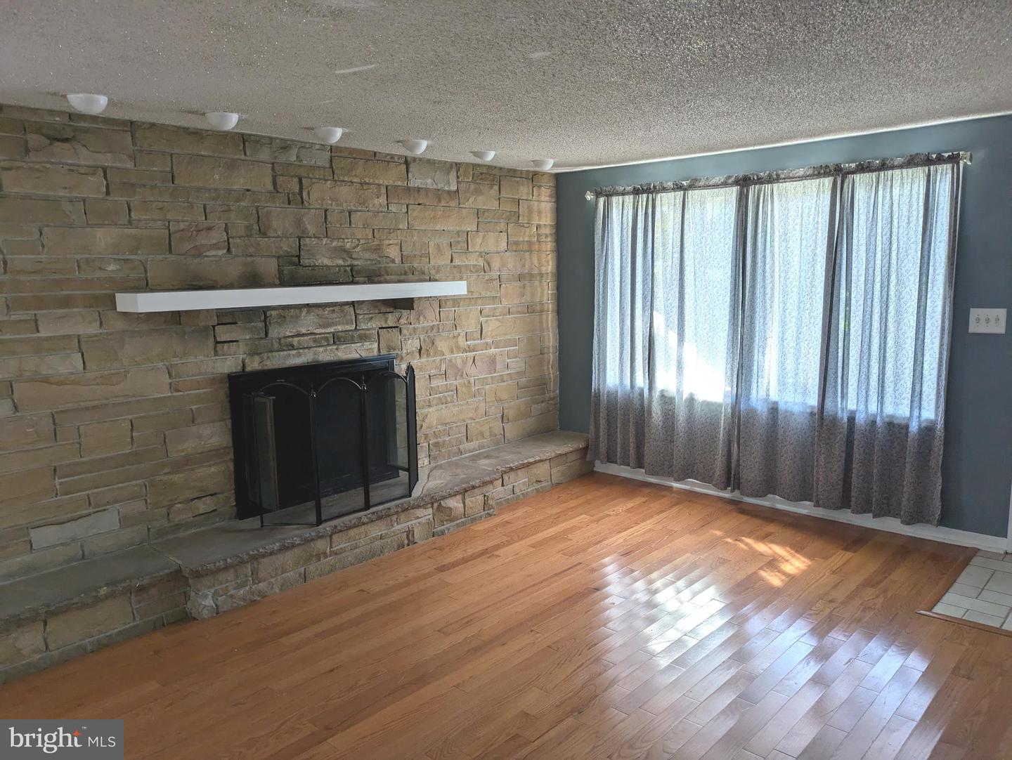 4517 Comly St Property Photo 6