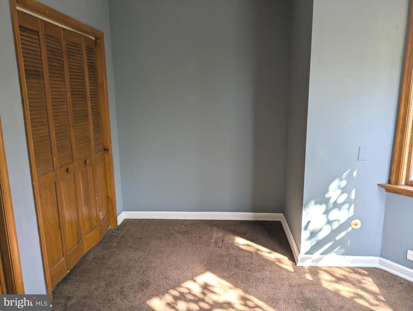 4517 Comly St Property Photo 18