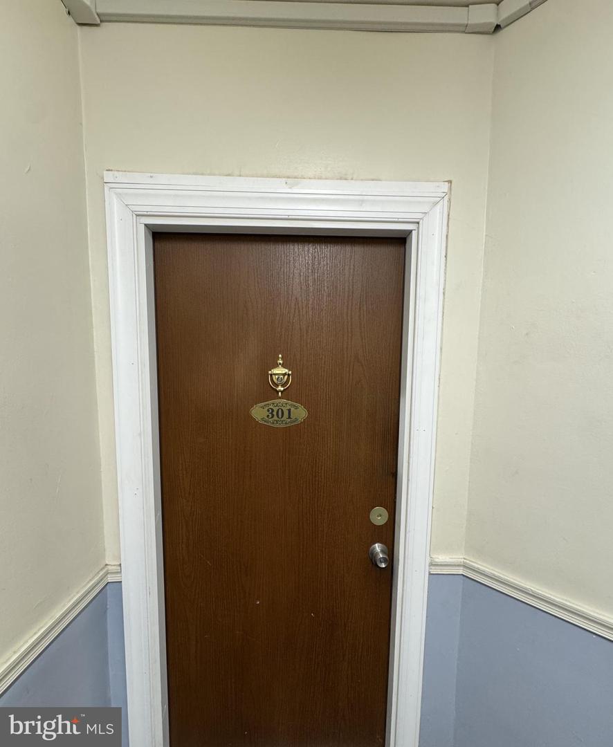 400-14 W Hortter St #301 Property Photo 5