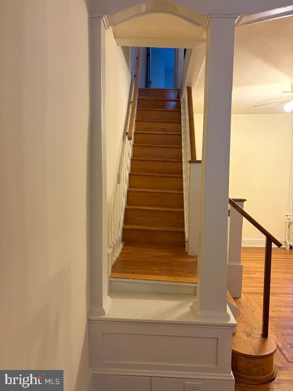 5229 Pulaski Ave Property Photo 17