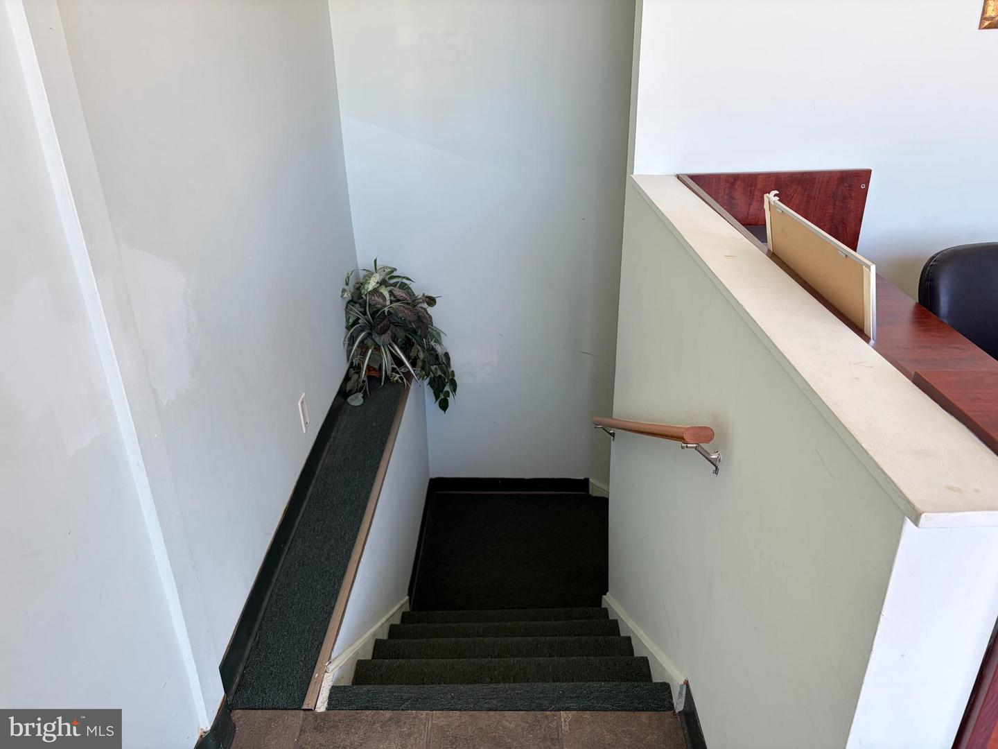 3222 W Cheltenham Ave #b2 Property Photo 7