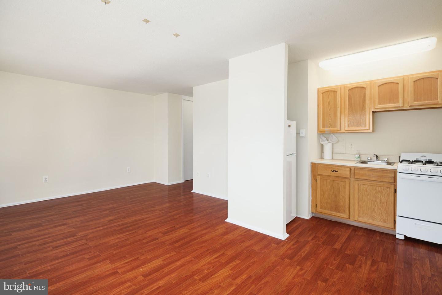 2101 Chestnut St #1024 Property Photo 2