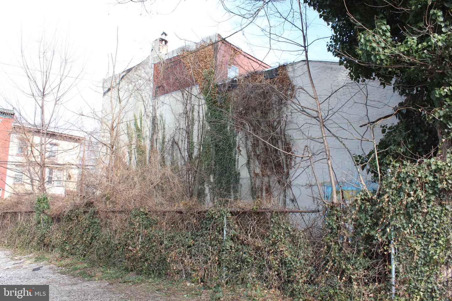 1602 W Thompson St Property Photo 6