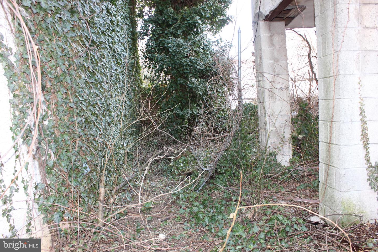 1602 W Thompson St Property Photo 9