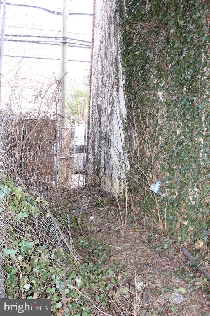 1602 W Thompson St Property Photo 10