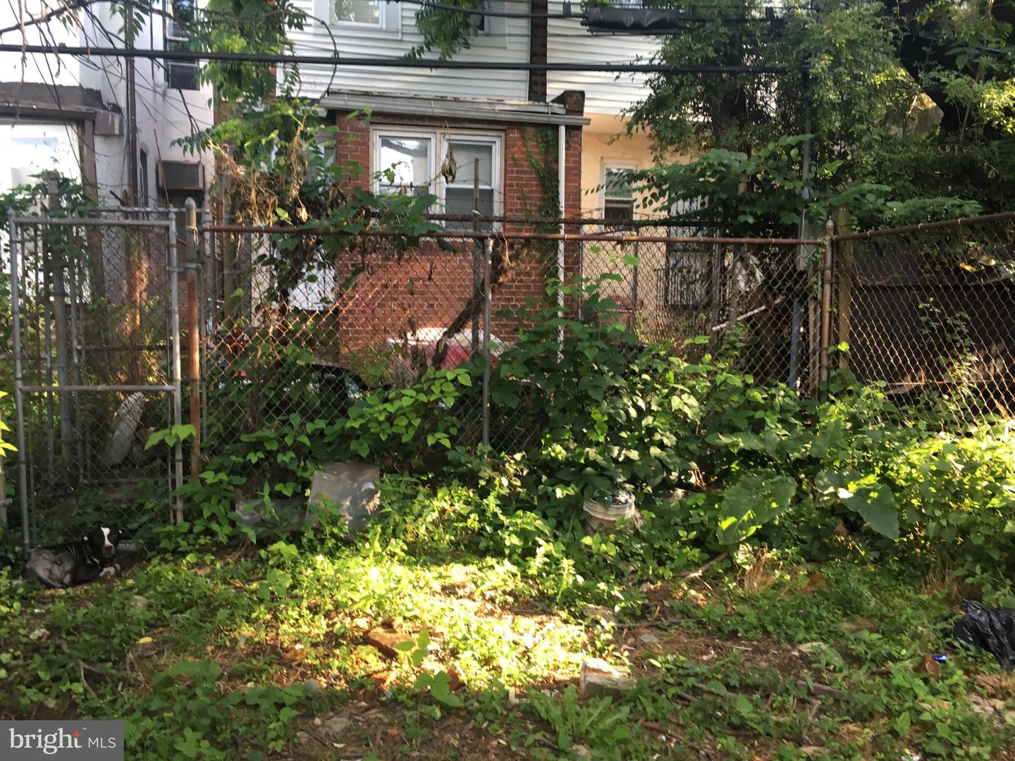 6140 Delancey St Property Photo 9