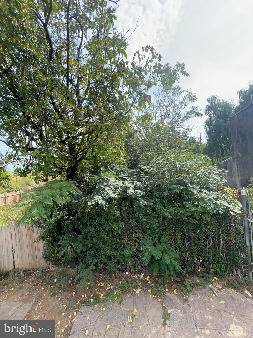 3027 N American St Property Photo 2