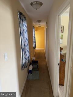 229 E Price St Property Photo 13