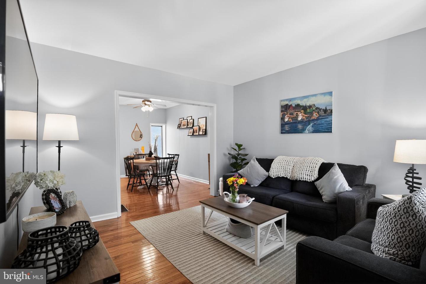 259 Lauriston St Property Photo 3