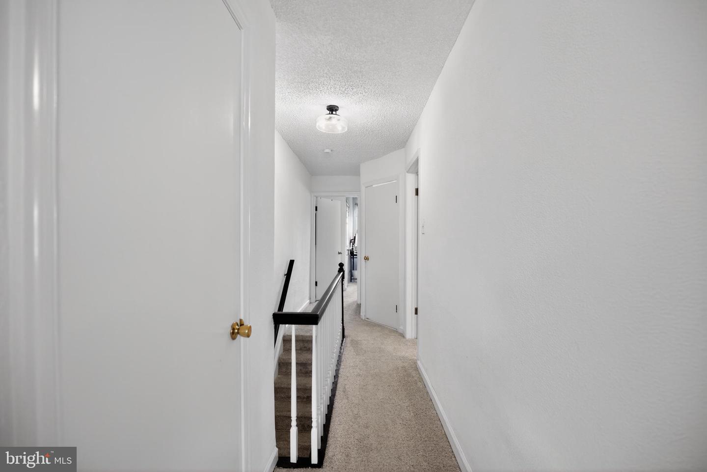 259 Lauriston St Property Photo 22