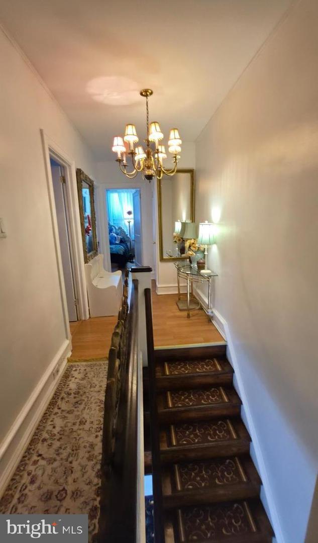 4113 Comly St Property Photo 16