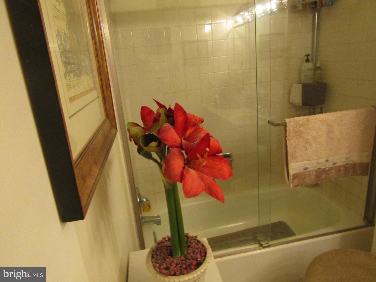 8409 Gibbs Pl Property Photo 30