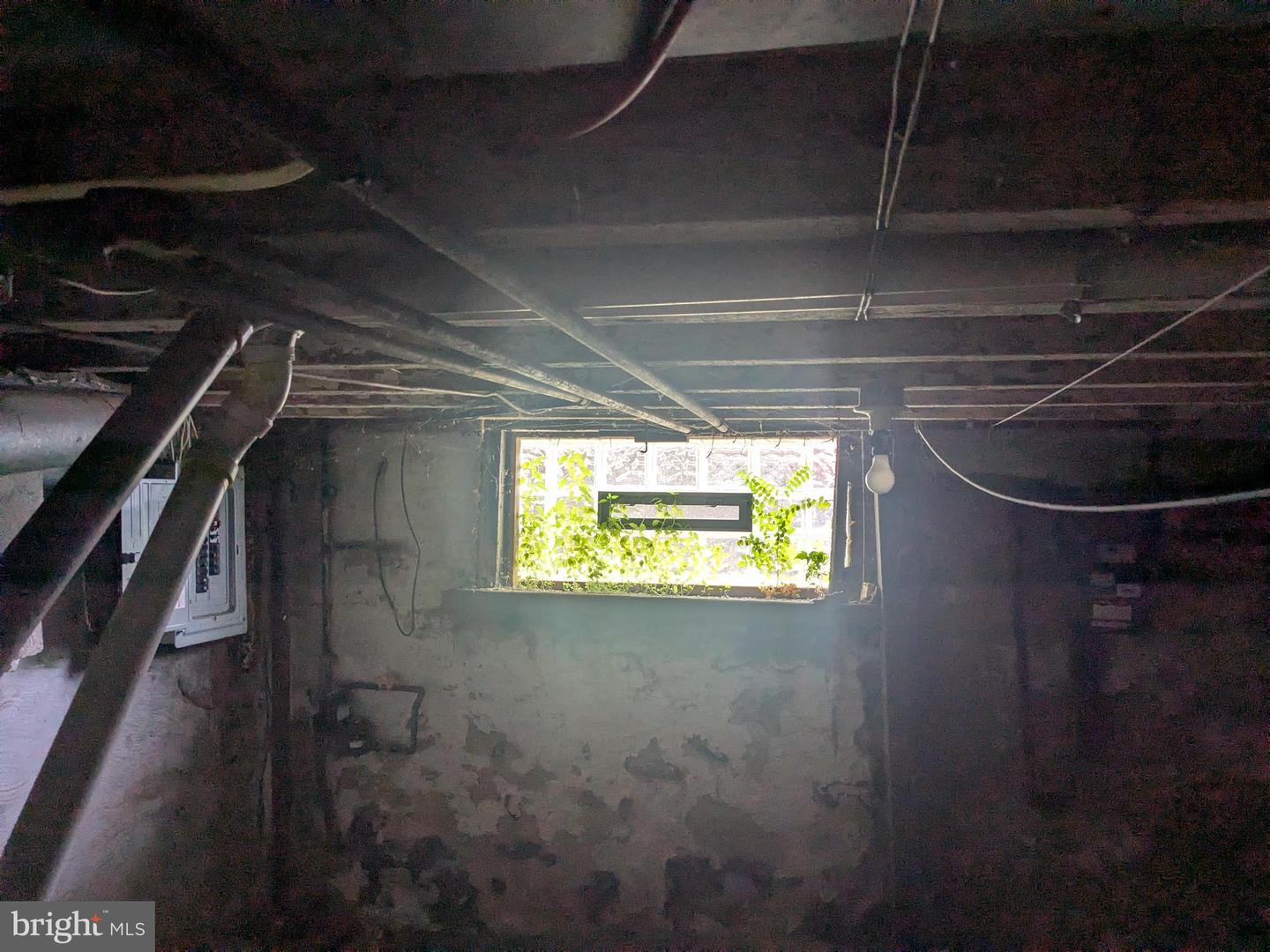 1818 Brunner St Property Photo 20
