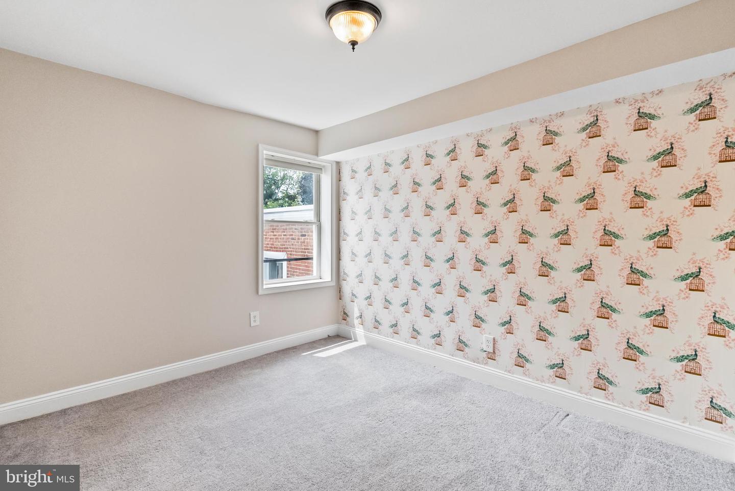 1504 Mount Vernon St #3 Property Photo 16