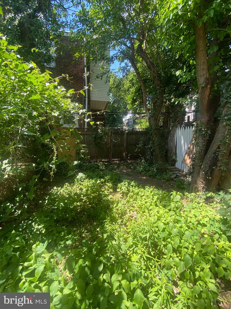 139 W Hansberry St Property Photo 57