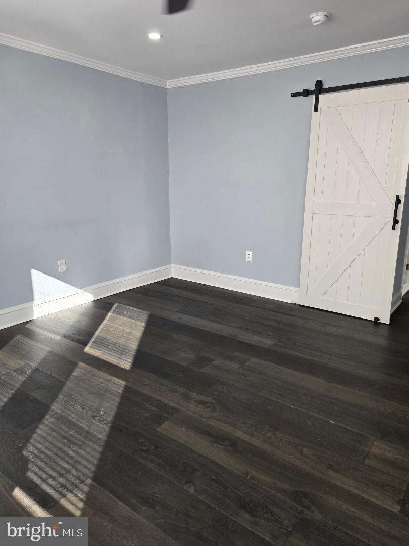 3409 Disston St Property Photo 13