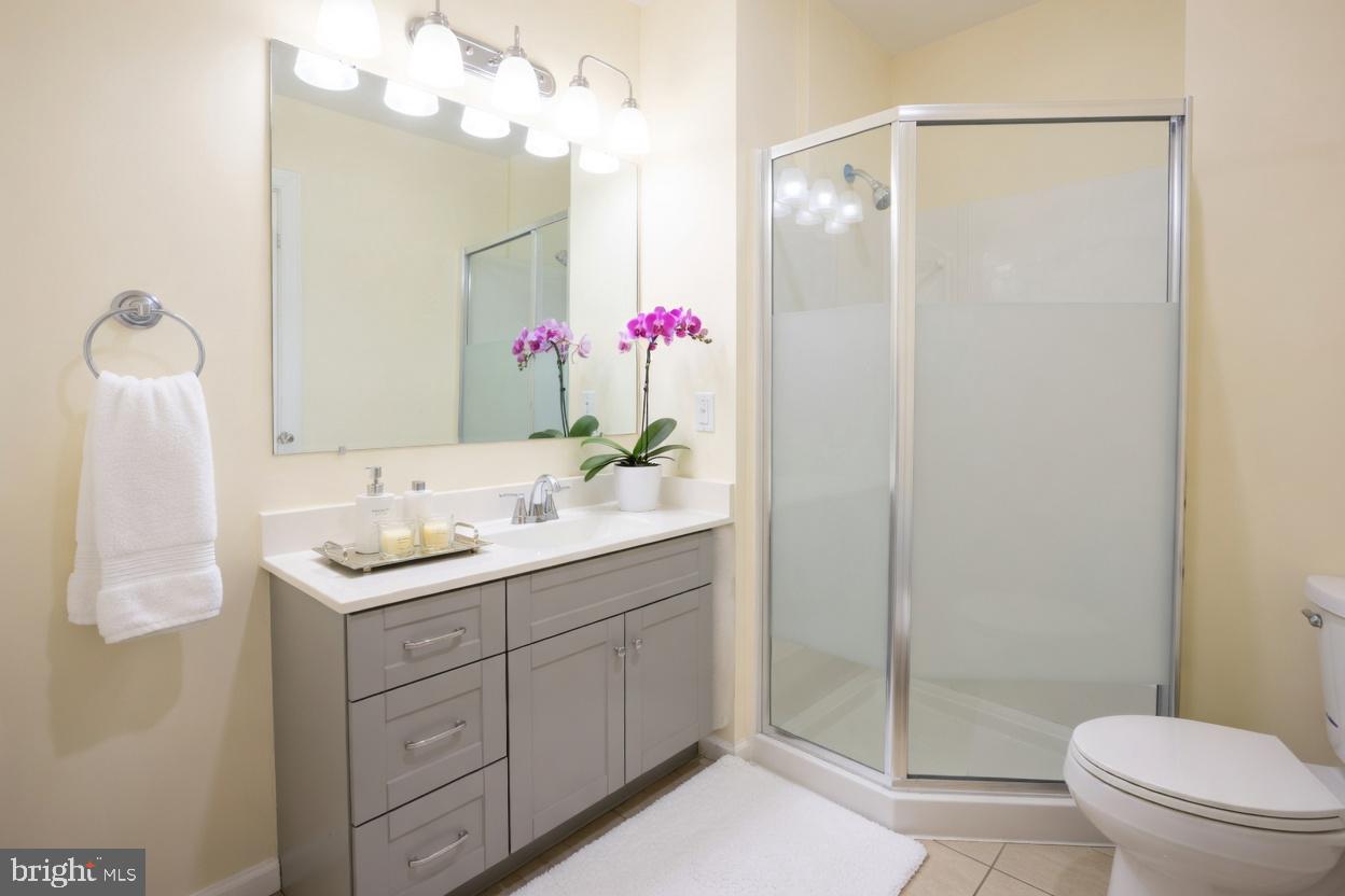 1558 N Randolph St #1st Floor Property Photo 19