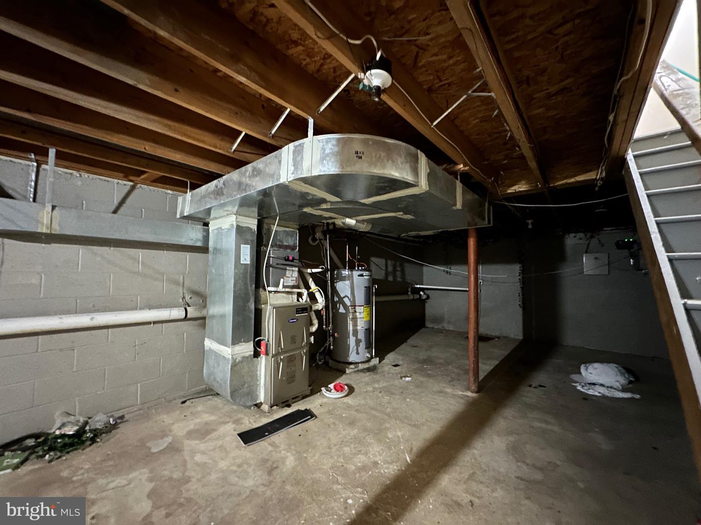 1616 Diamond St Property Photo 16