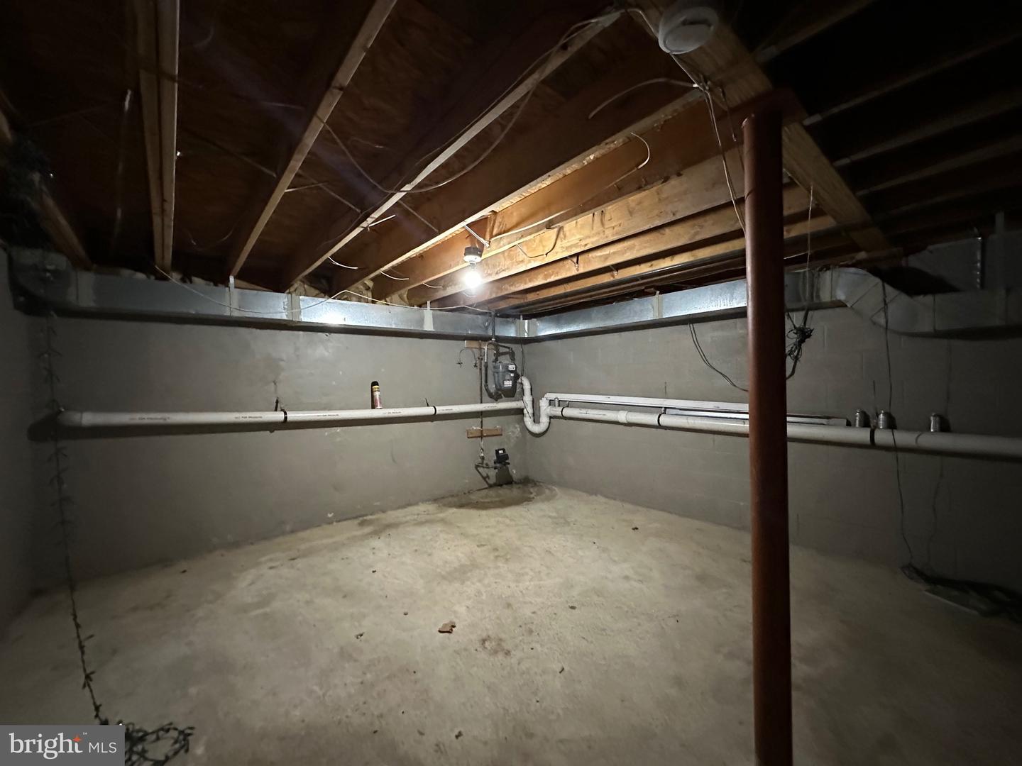1616 Diamond St Property Photo 17