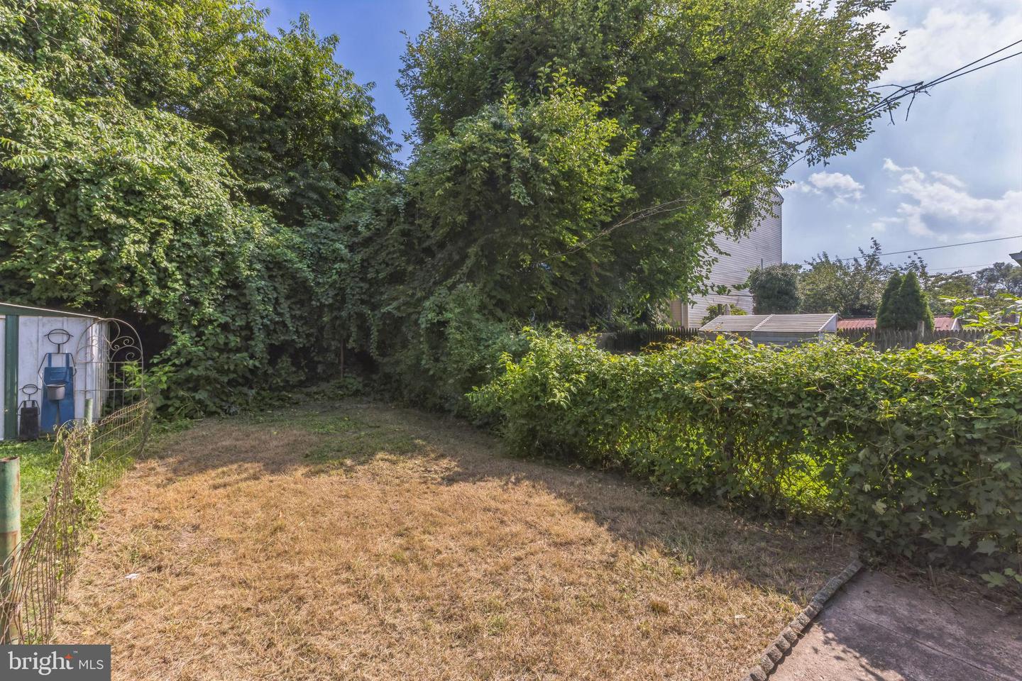 427 Ripka St Property Photo 14