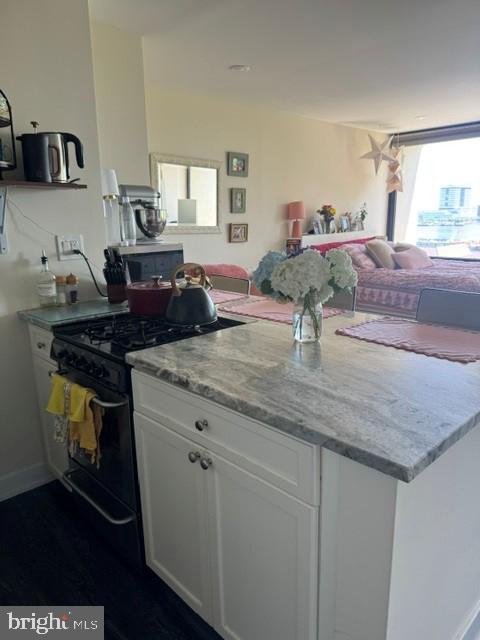 200 Locust St #6en Property Photo 4