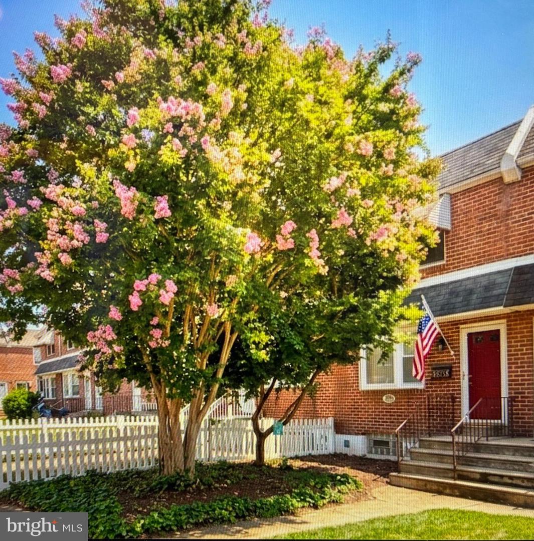 8713 Jackson St Property Photo 1