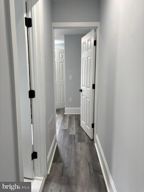 2037 E Cumberland St Property Photo 15