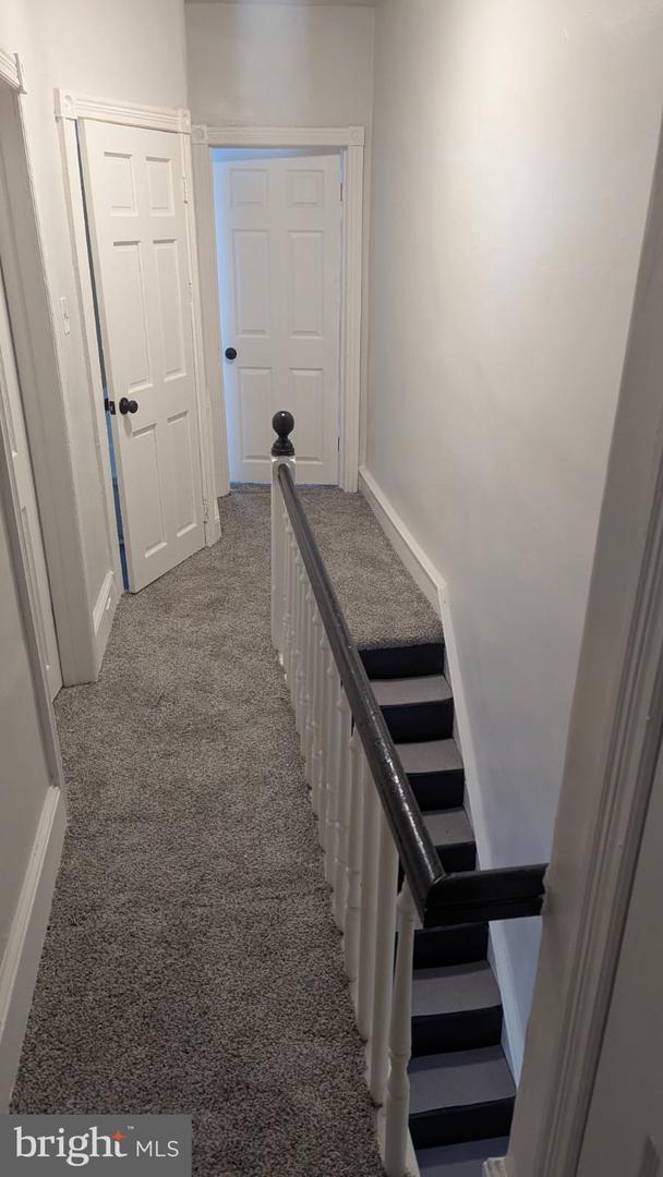 1538 S Dover St Property Photo 8
