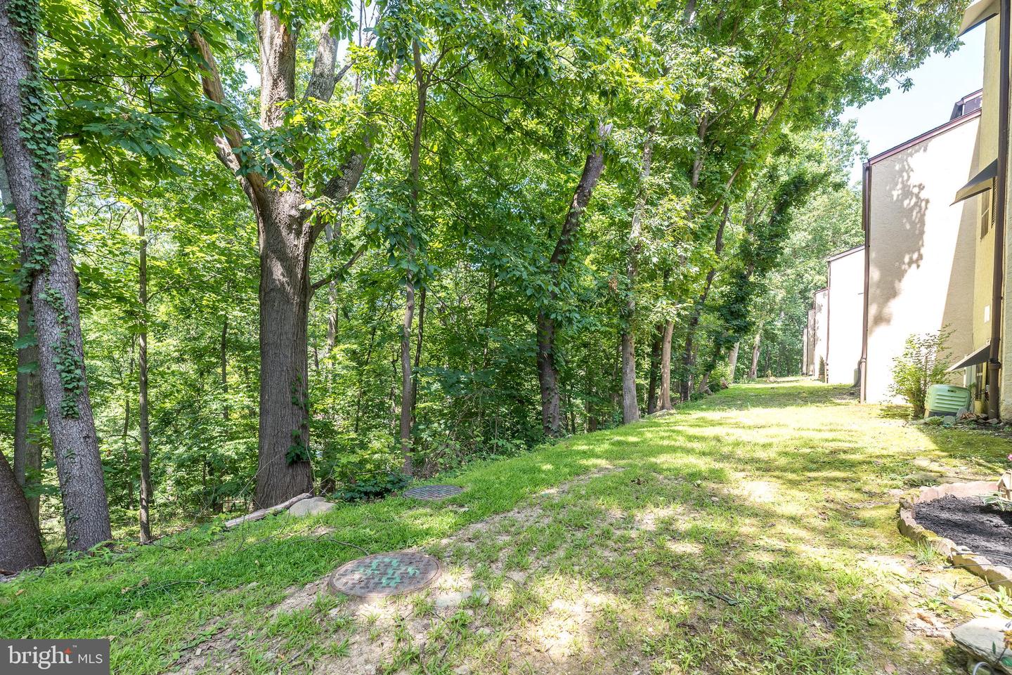 307 Shawmont Ave #d Property Photo 24