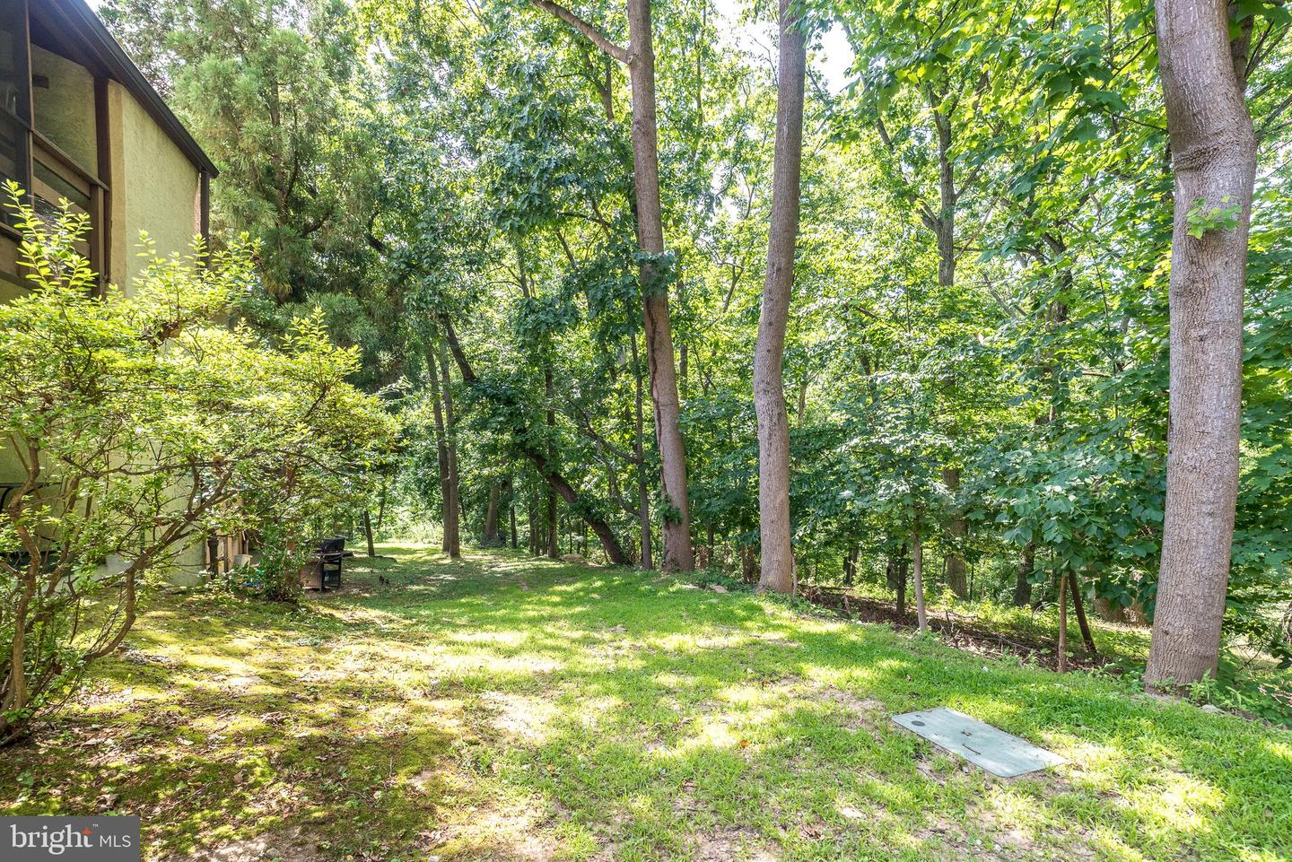 307 Shawmont Ave #d Property Photo 25