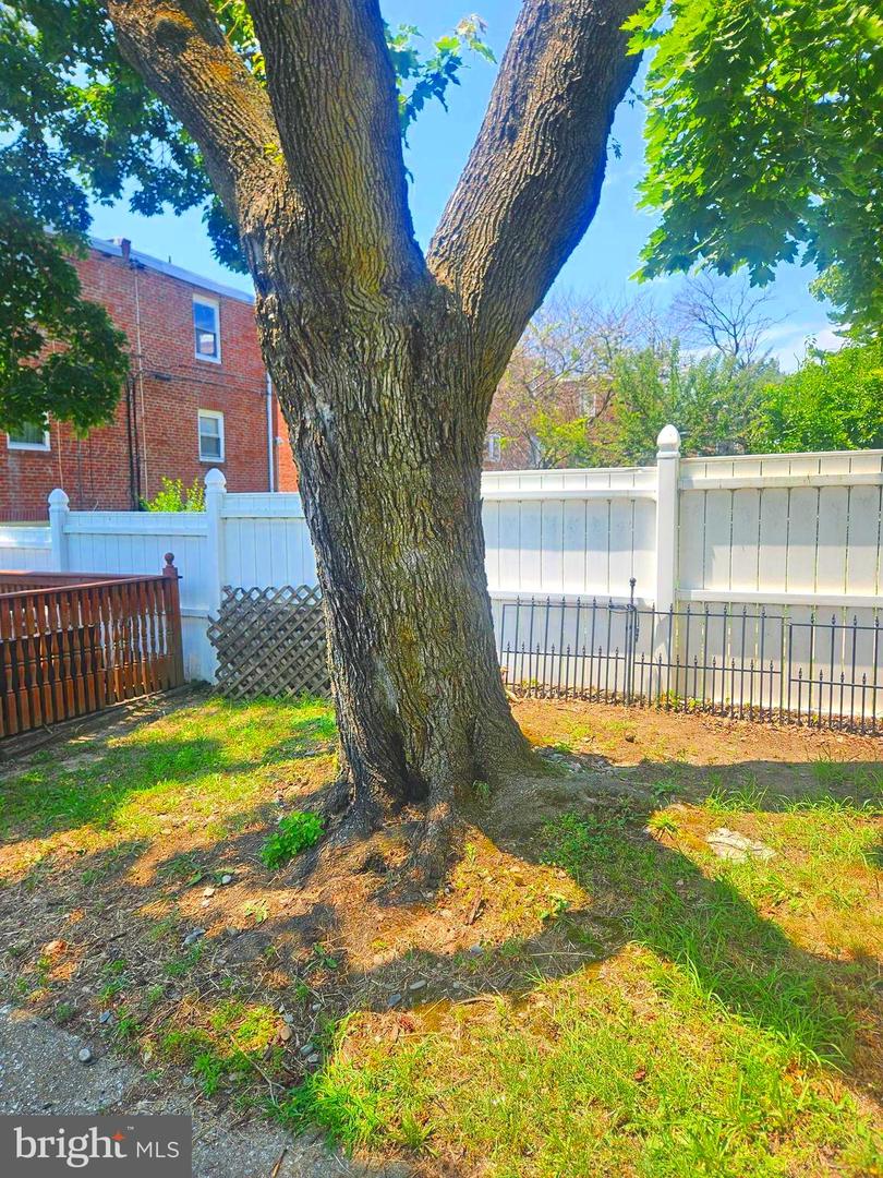 8303 Mansfield Ave Property Photo 22