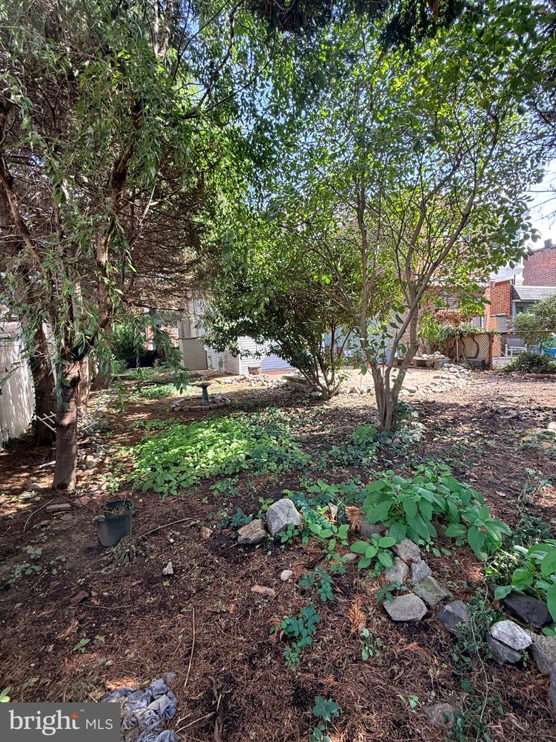1118 Marlborough St Property Photo 33