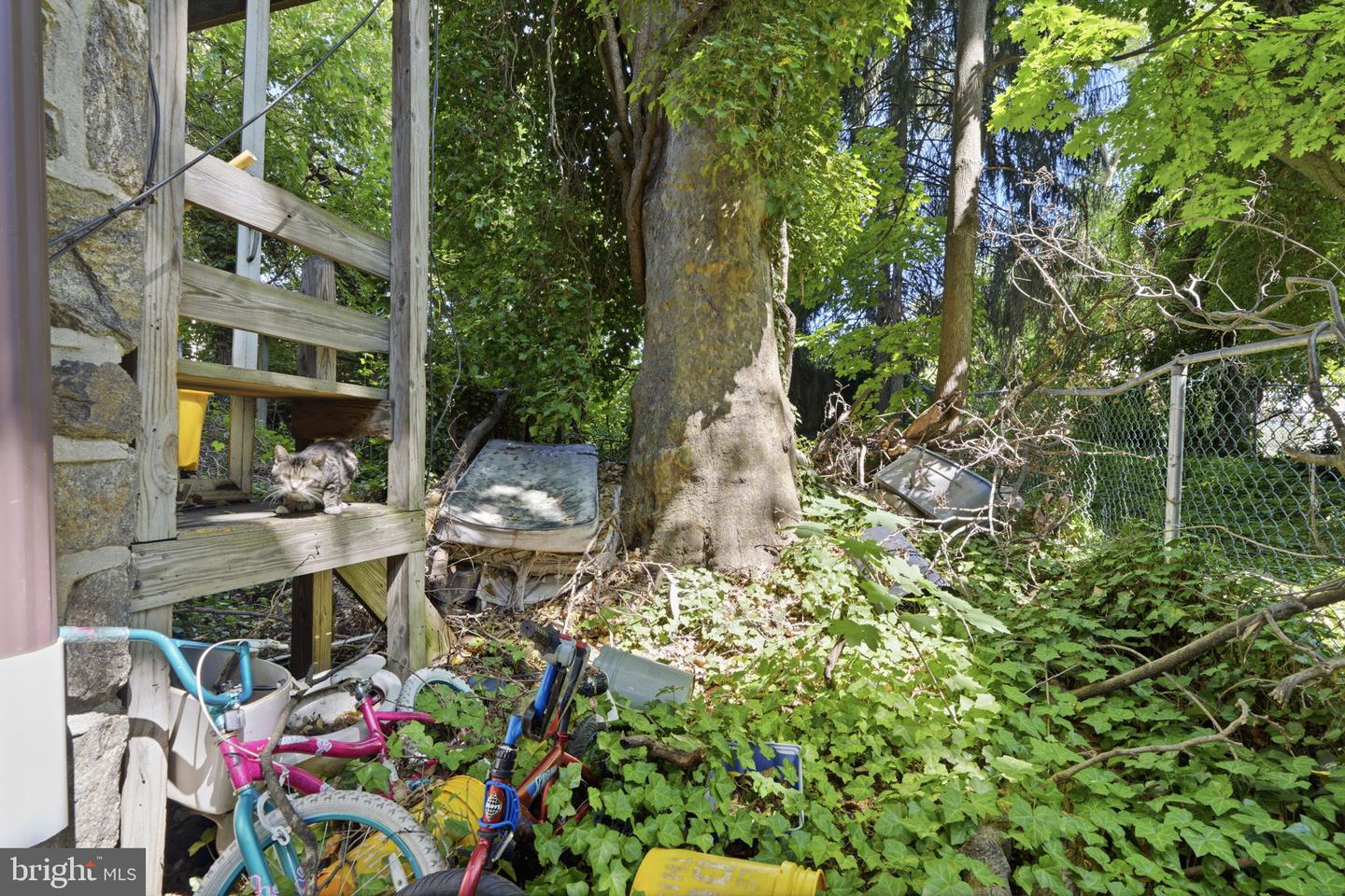 6505 Old York Rd Property Photo 27