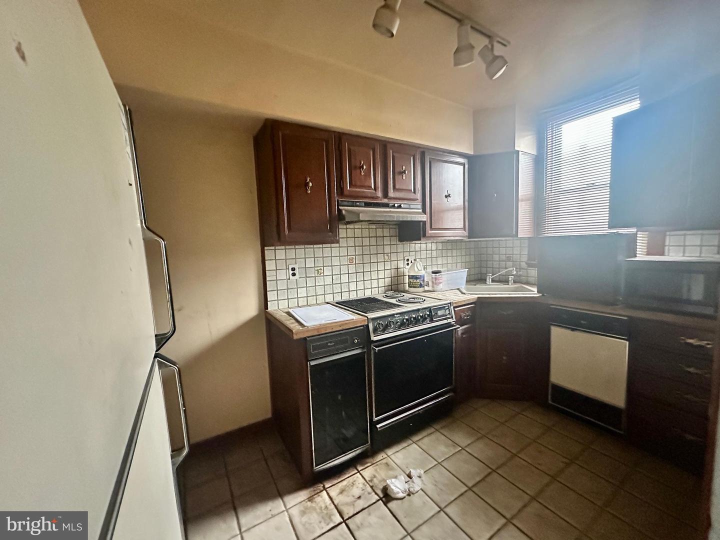 113 Widener St Property Photo 14