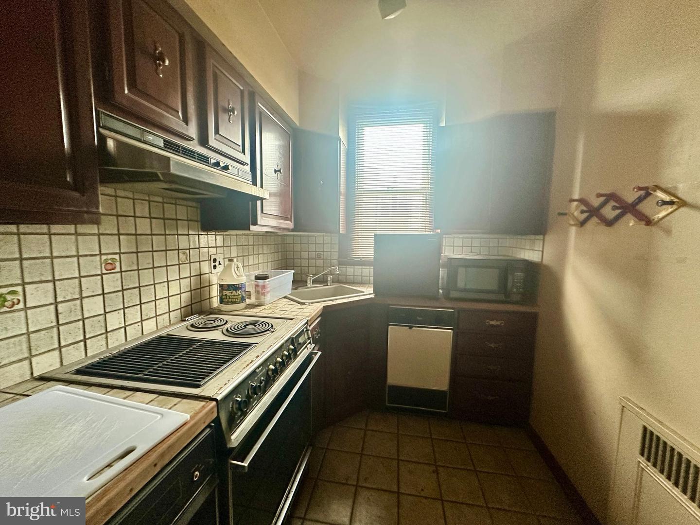 113 Widener St Property Photo 17