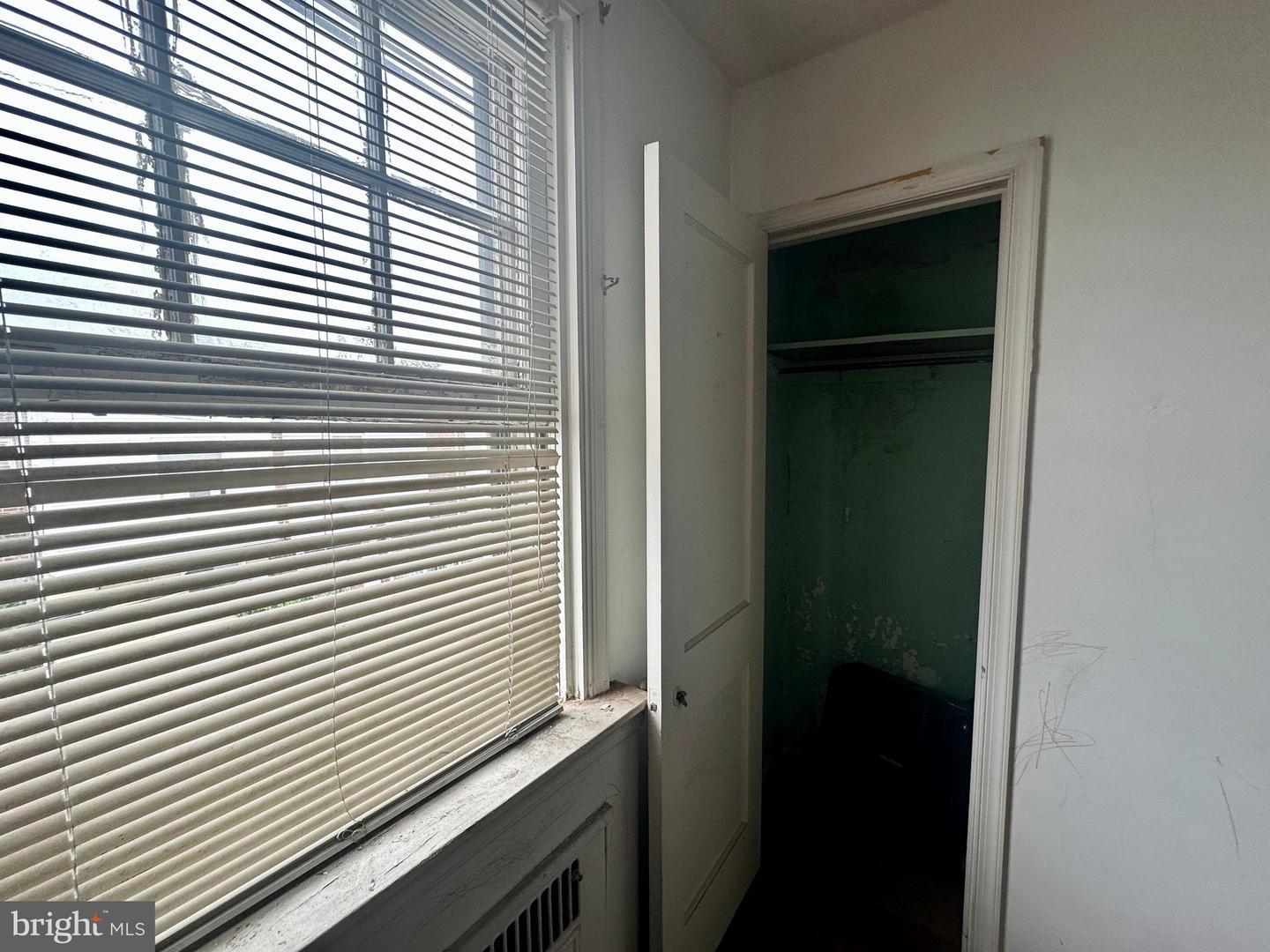 113 Widener St Property Photo 35